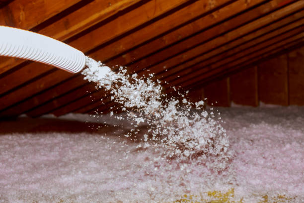 Best Insulation Maintenance and Repair in North Richmond, CA