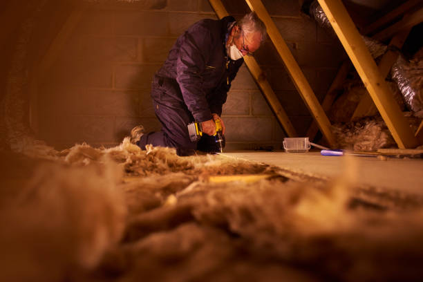 Best Insulation for Specific Applications in North Richmond, CA